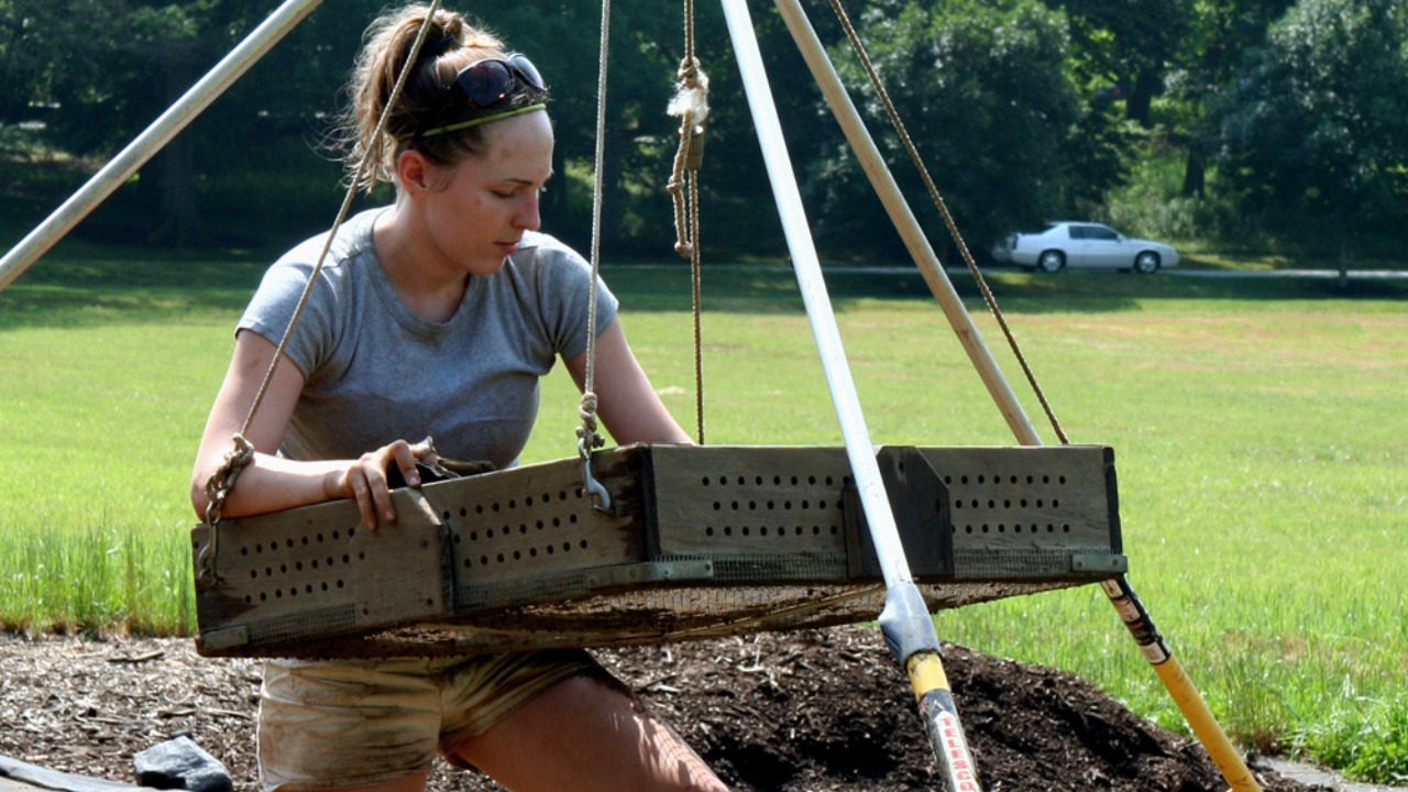 Image Credit: anoldent - CC BY-SA 2.0/Wiki Commons