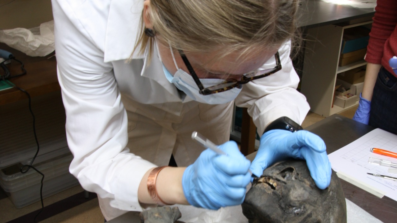 Image Credit: Ester Oras / Mait Metspalu - CC BY 4.0/Wiki Commons