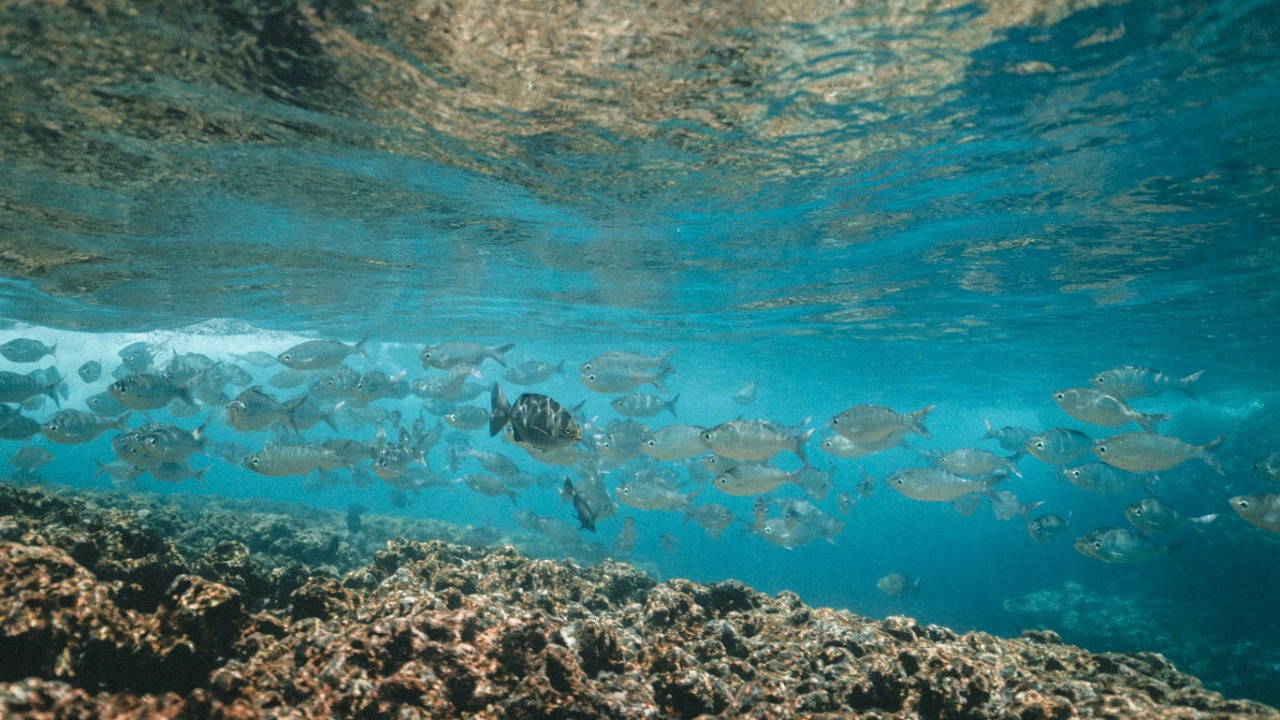 jakobowens1/Unsplash