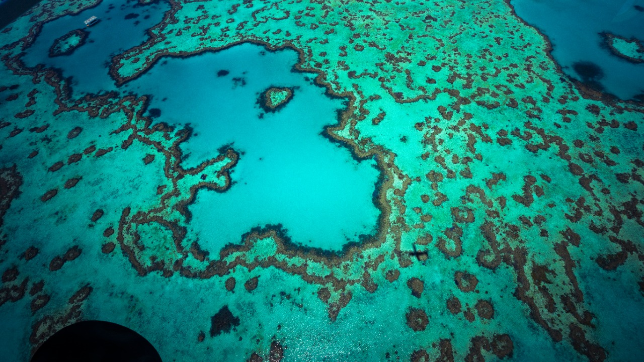 behindthetmuna/Unsplash