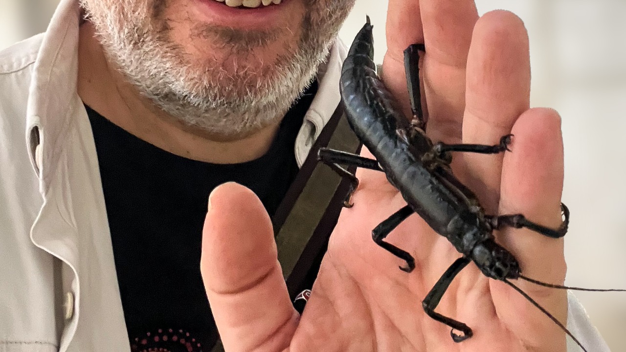 Image Credit: Miroslav Bobek - CC BY-SA 4.0/Wiki Commons