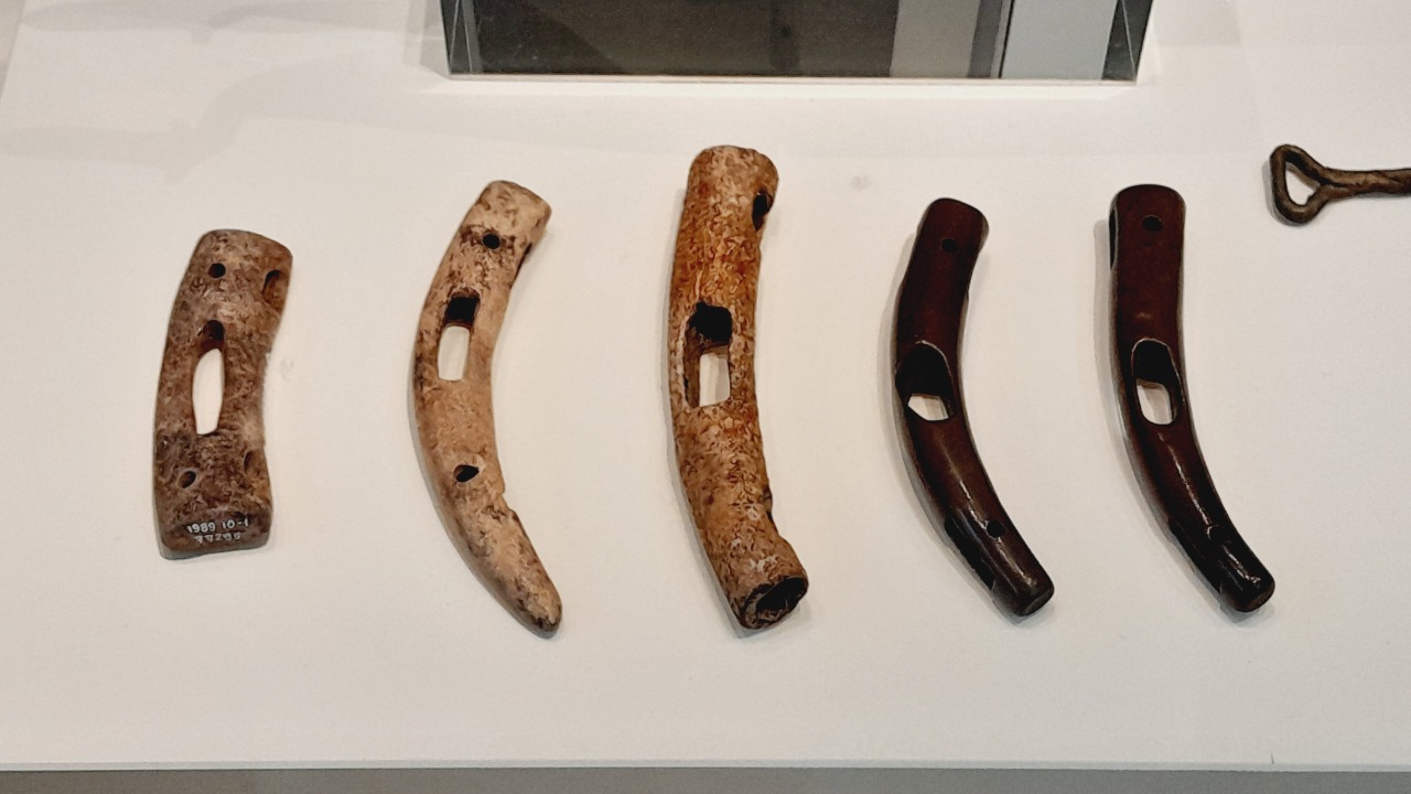 Image Credit: Ario1234 - CC BY-SA 4.0/Wiki Commons