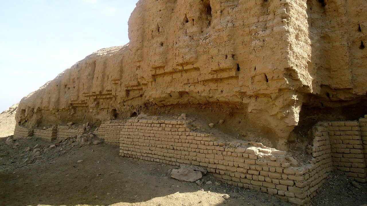 Image Credit: Osama Shukir Muhammed Amin FRCP(Glasg) - CC BY-SA 4.0/Wiki Commons