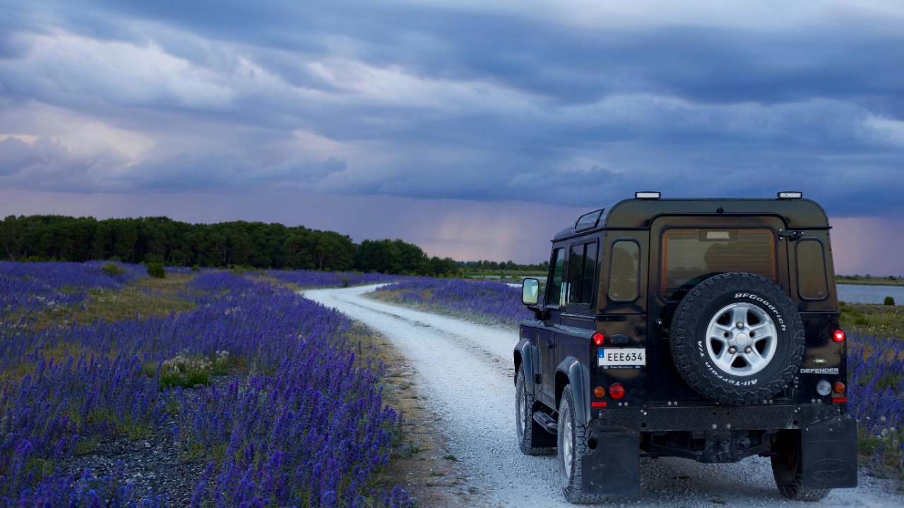 Viktor Lundberg/Pexels