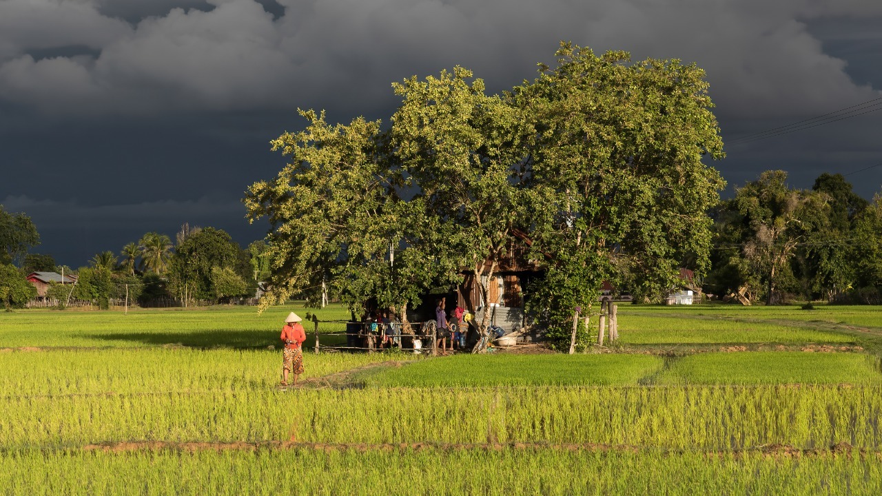 Image Credit: Basile Morin – CC BY-SA 4.0/Wiki Commons
