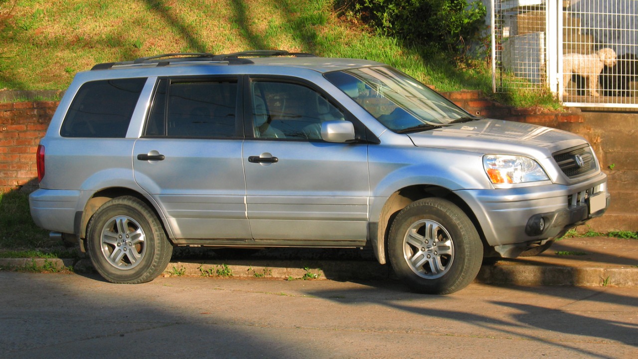 Image Credit: order_242 from Chile - CC BY-SA 2.0/Wiki Commons