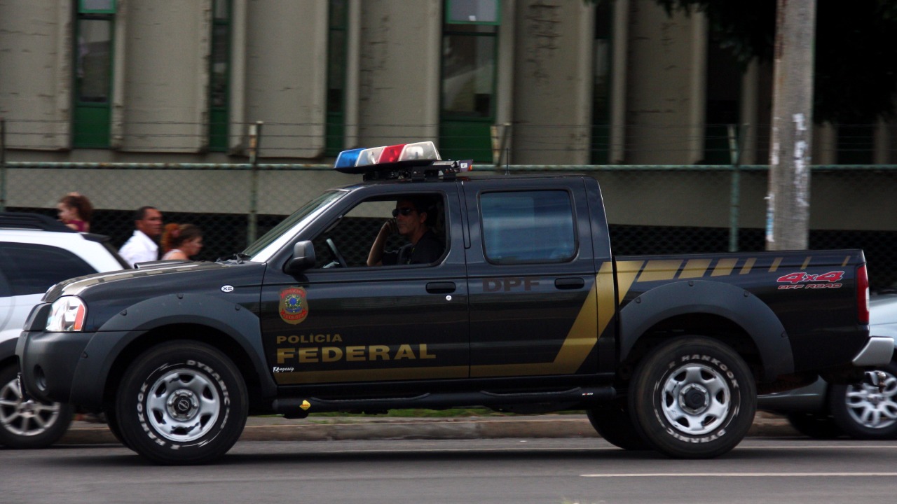 Image Credit: André Gustavo Stumpf from Brasil - CC BY 2.0/Wiki Commons