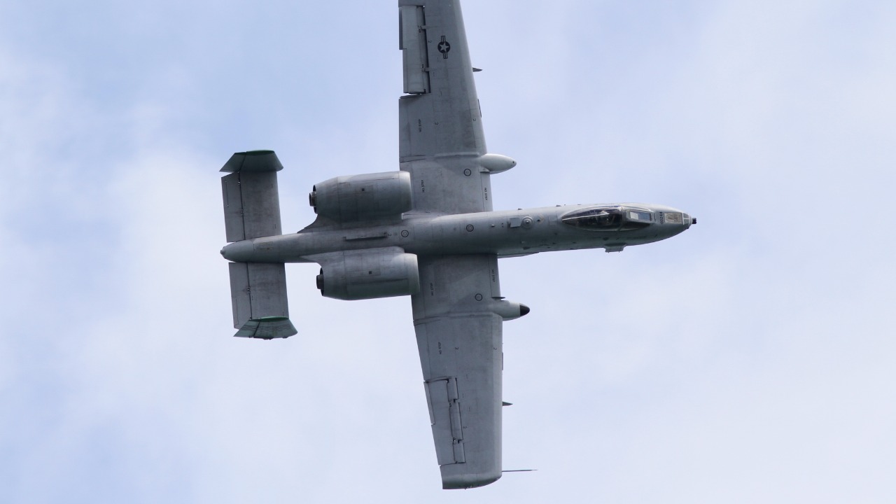 Image Credit: Kentaro Iemoto from Tokyo, Japan - CC BY-SA 2.0/Wiki Commons