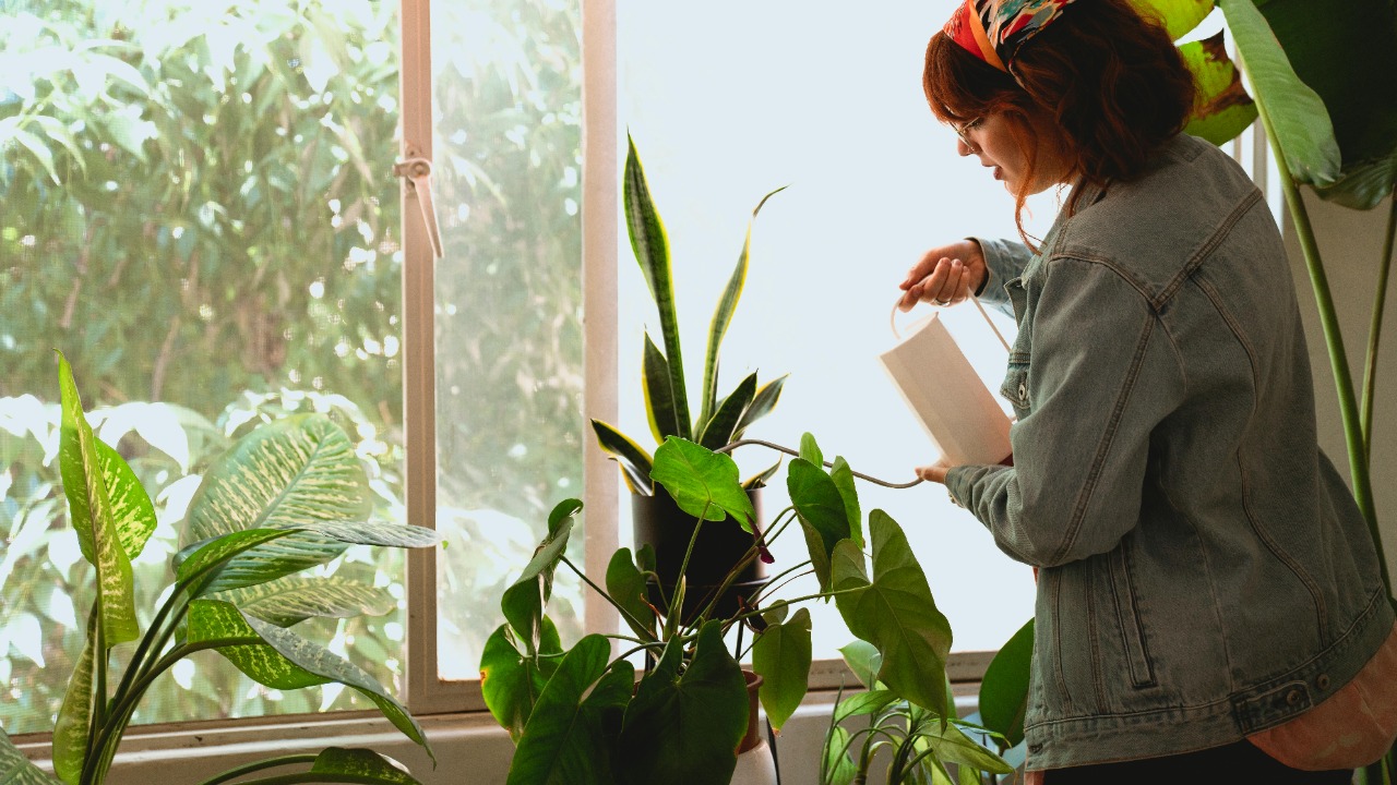 Los Muertos Crew/Pexels