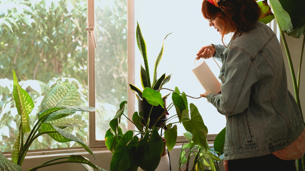 Plants can ‘hear’ themselves being eaten