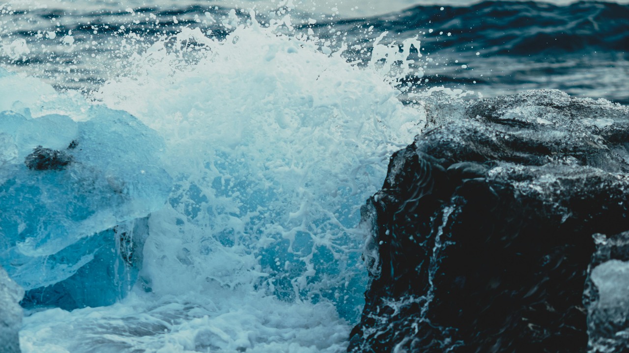 Matheus Bertelli/Pexels