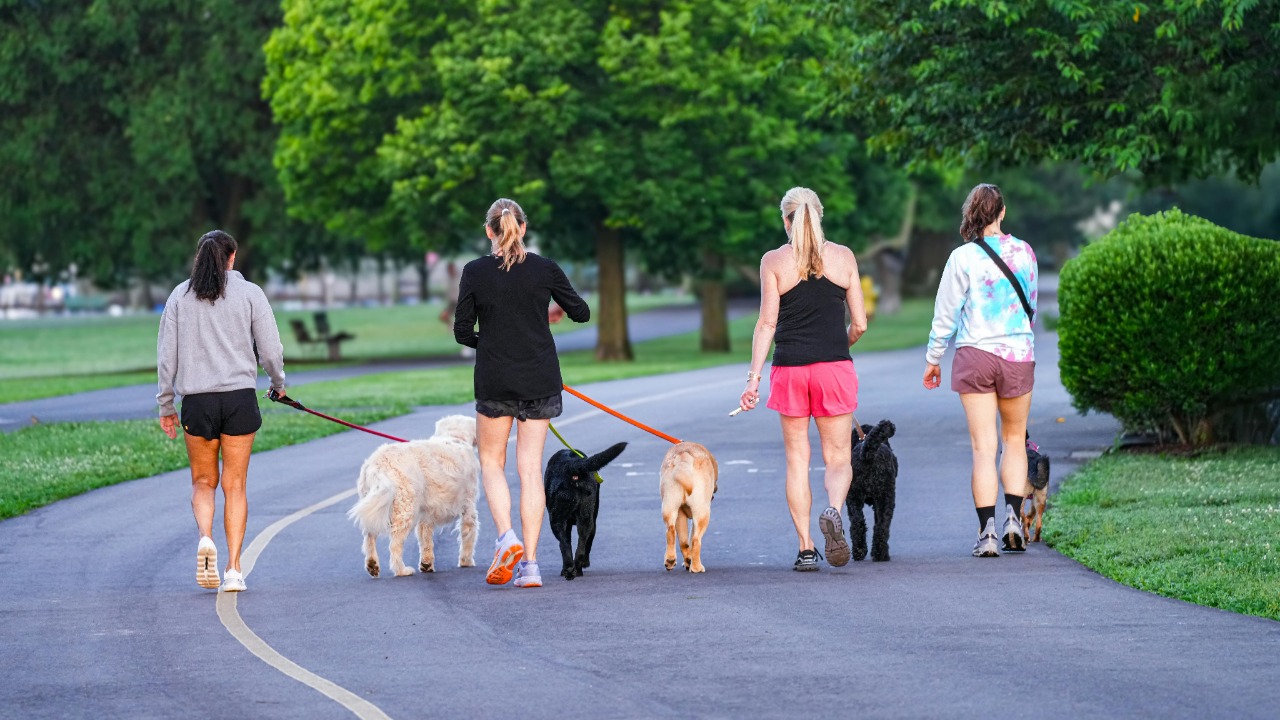 David Kanigan/Pexels