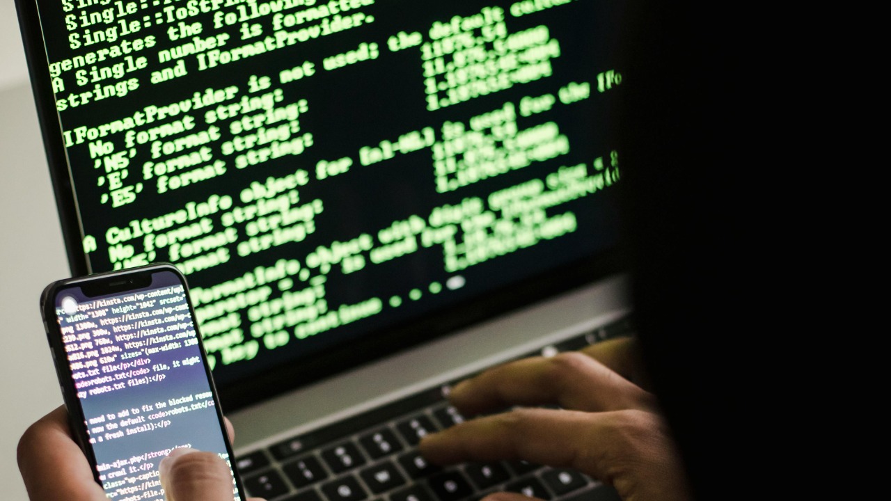 Sora Shimazaki/Pexels