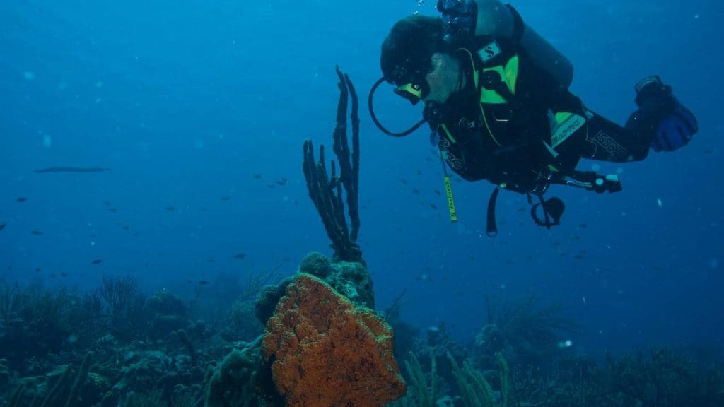 underwater archaeological sites