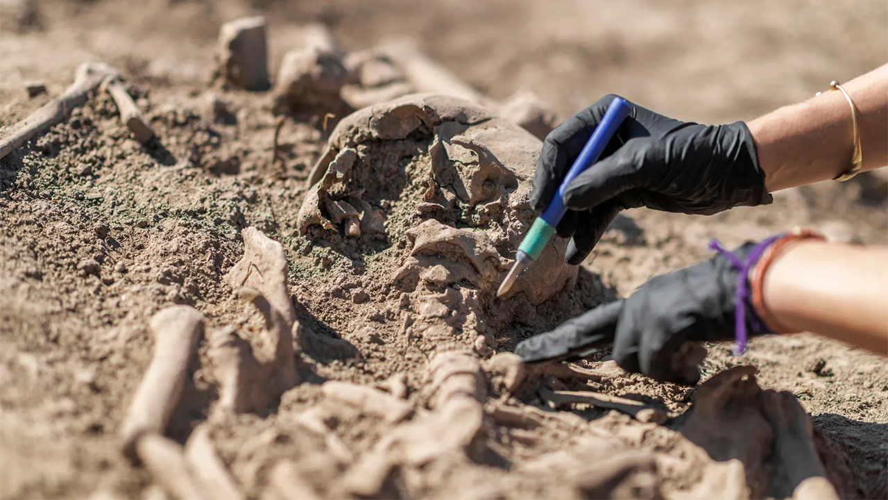214 ancient pathogens, including earliest plague, found in prehistoric DNA