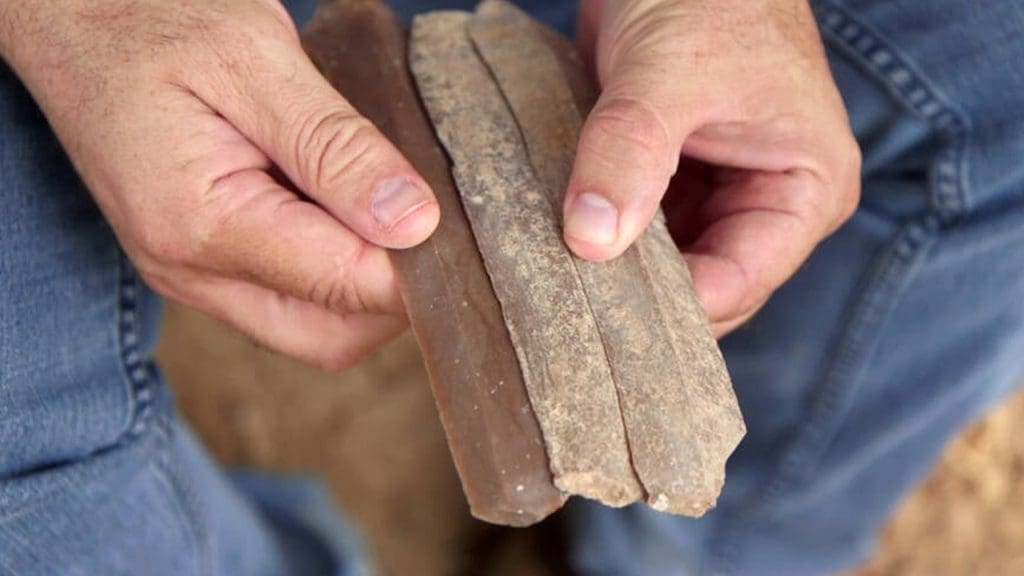 5,500-Year-Old Blade Workshop Unearthed In Southern Israel