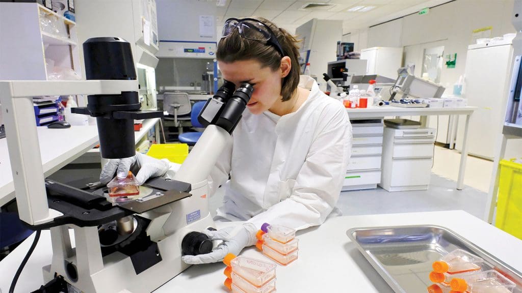 Back to the Future_ Pre-CRISPR Systems Are Driving Therapies to the Clinic