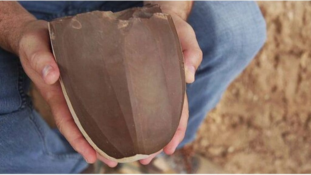 Exceptional' discovery of ancient blade factory confirms key part of the Bible