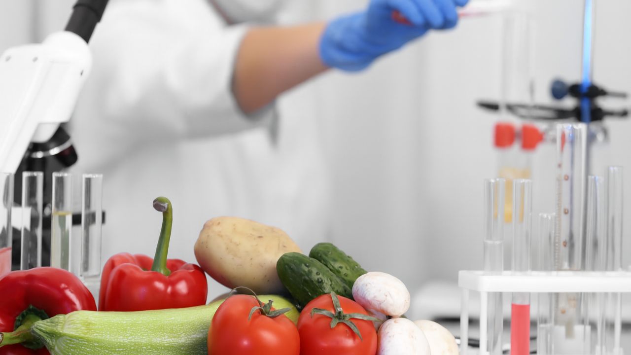 Nanotechnology in Food