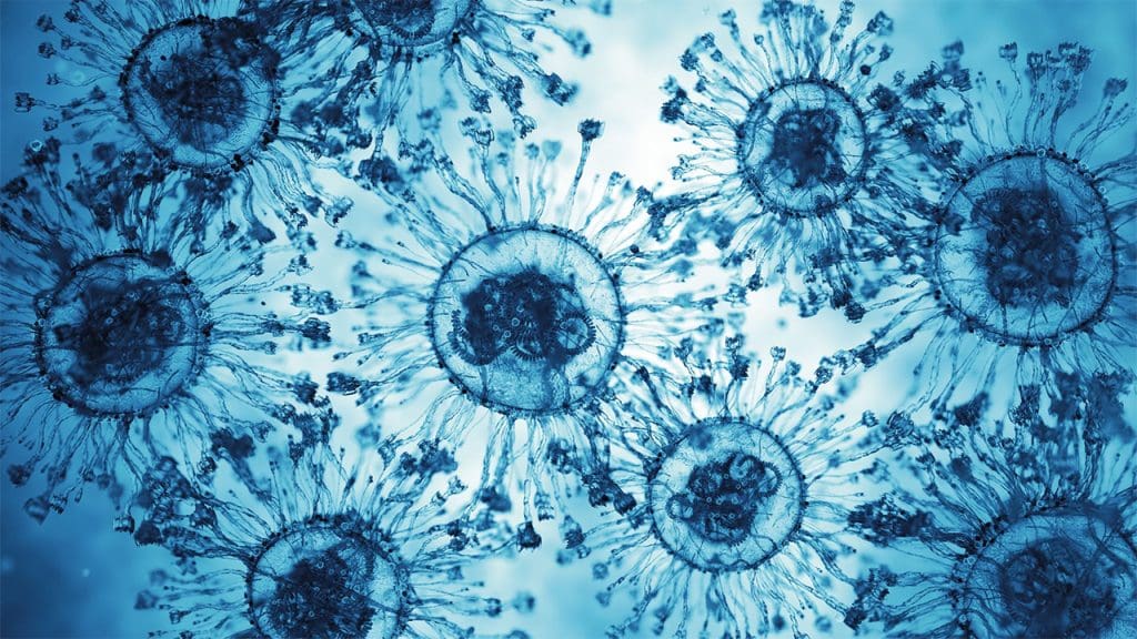 Scientists Put a Tiny Elephant Inside a Living Cell