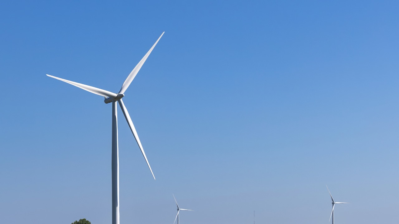 Image Credit: Crisco 1492 - CC BY-SA 4.0/Wiki Commons