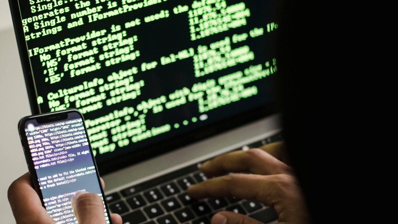 Sora Shimazaki/Pexels