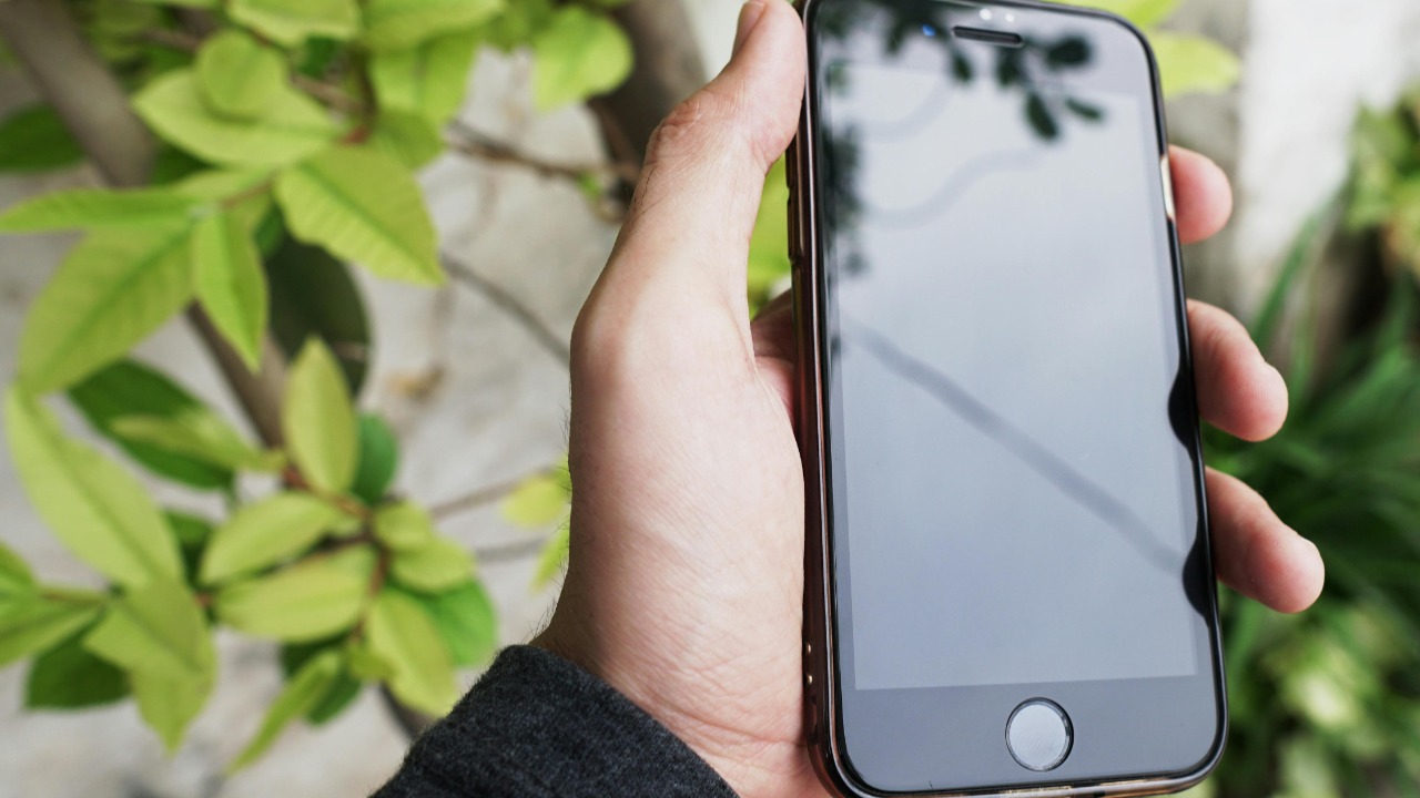 Wajahat Ahmad Khan/Pexels