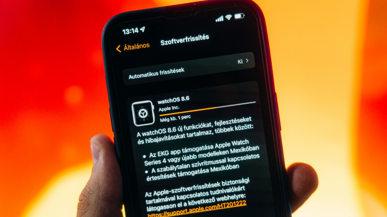 Szabó Viktor/Pexels