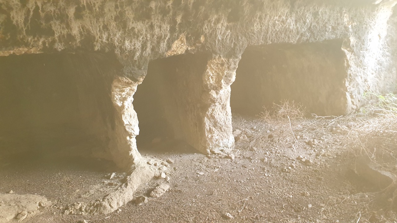 Image Credit: Owenglyndur - CC BY 4.0/Wiki Commons