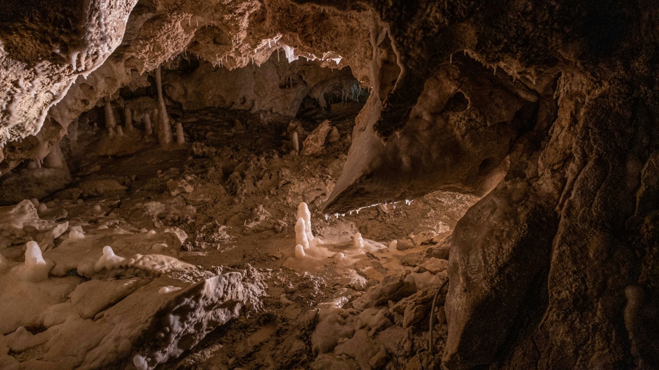 francesco_ungaro/Unsplash