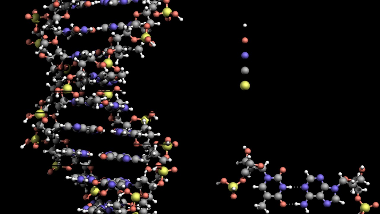 Image Credit: Zephyris - CC BY-SA 3.0/Wiki Commons