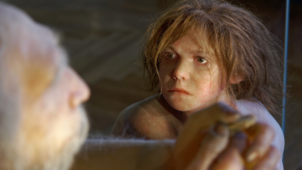 Image Credit: Jakub Hałun - CC BY-SA 4.0/Wiki Commons