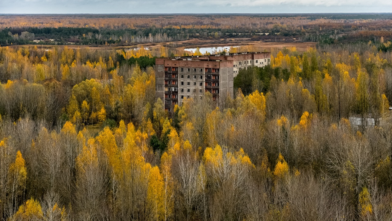 Image Credit: Jorge Franganillo from Barcelona, Spain - CC BY 2.0/Wiki Commons