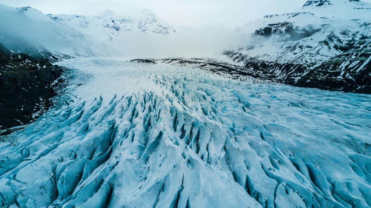 Willian Justen de Vasconcellos/Pexels