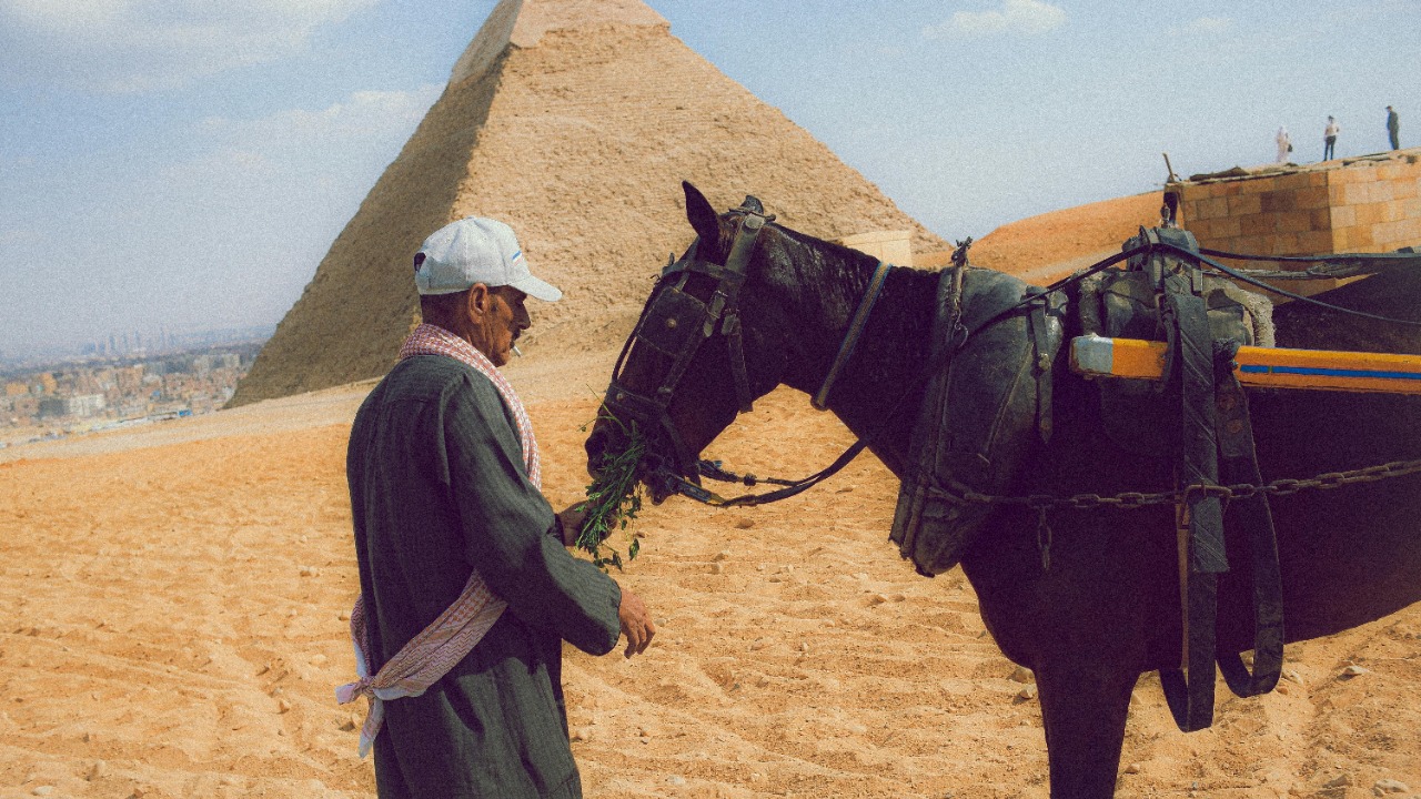 Hossam Ashoor/Pexels