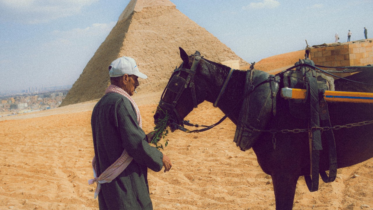 Hossam Ashoor/Pexels