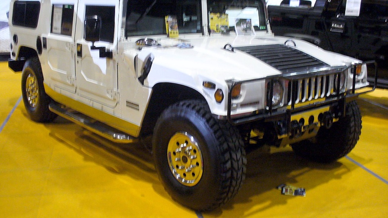 Image Credit: Thomas doerfer - CC BY-SA 3.0/Wiki Commons