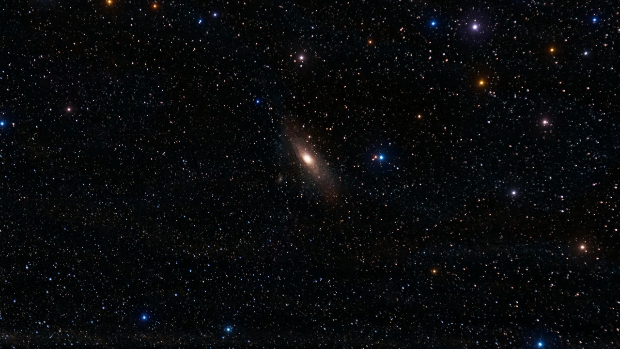 Alberlan Barros/Pexels