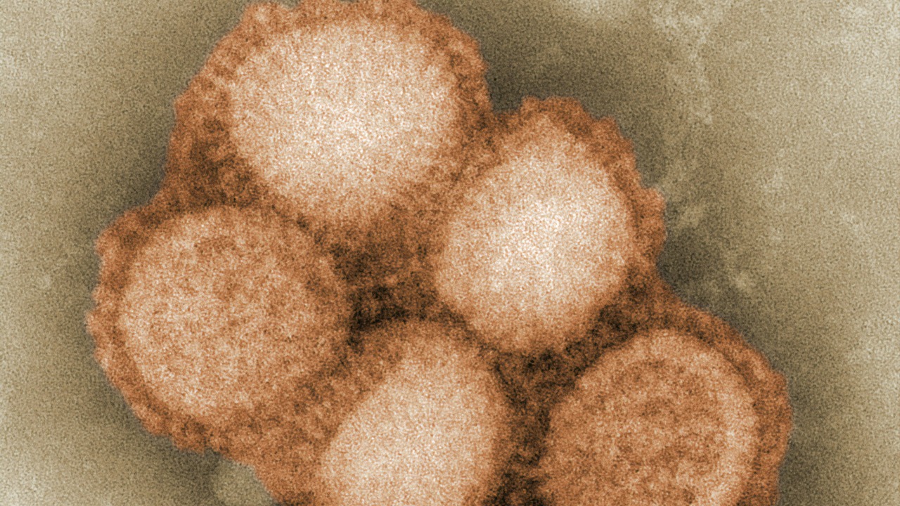 cdc/Unsplash