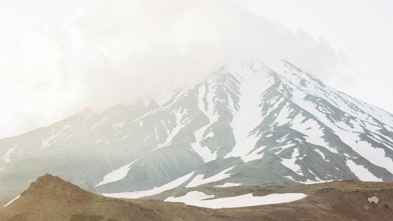 Yaroslav Shuraev/Pexels