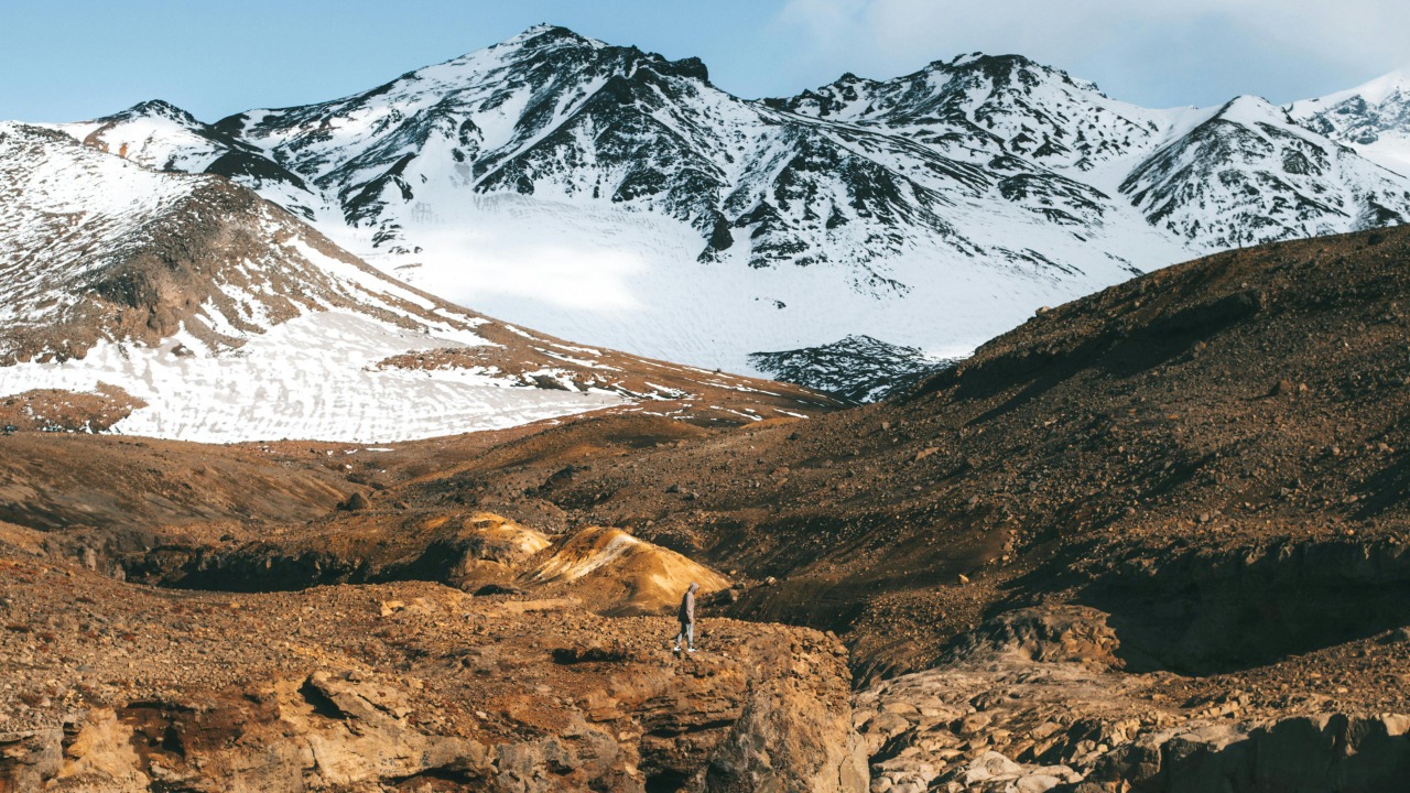 ROMAN ODINTSOV/Pexels