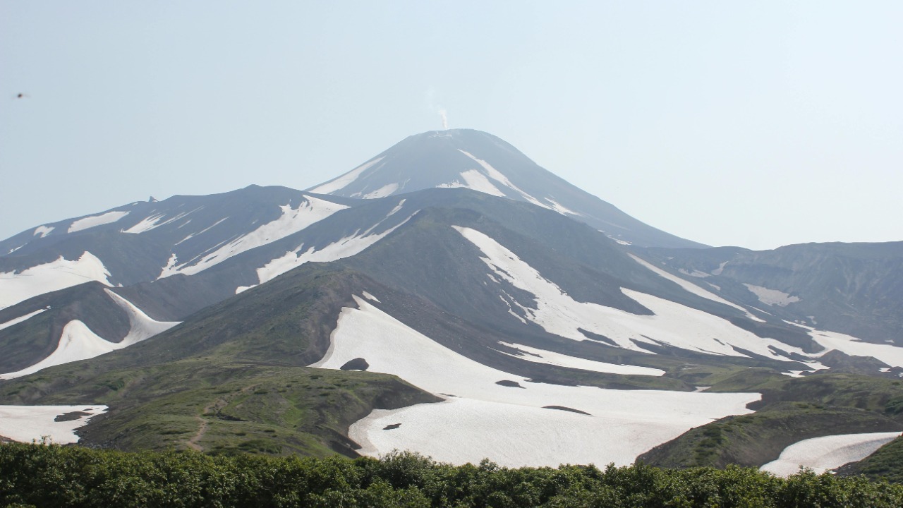 Vladimir Andreev/Pexels