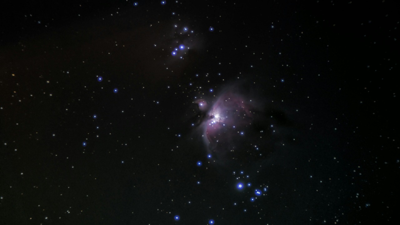 Olivier Brinkman/Pexels