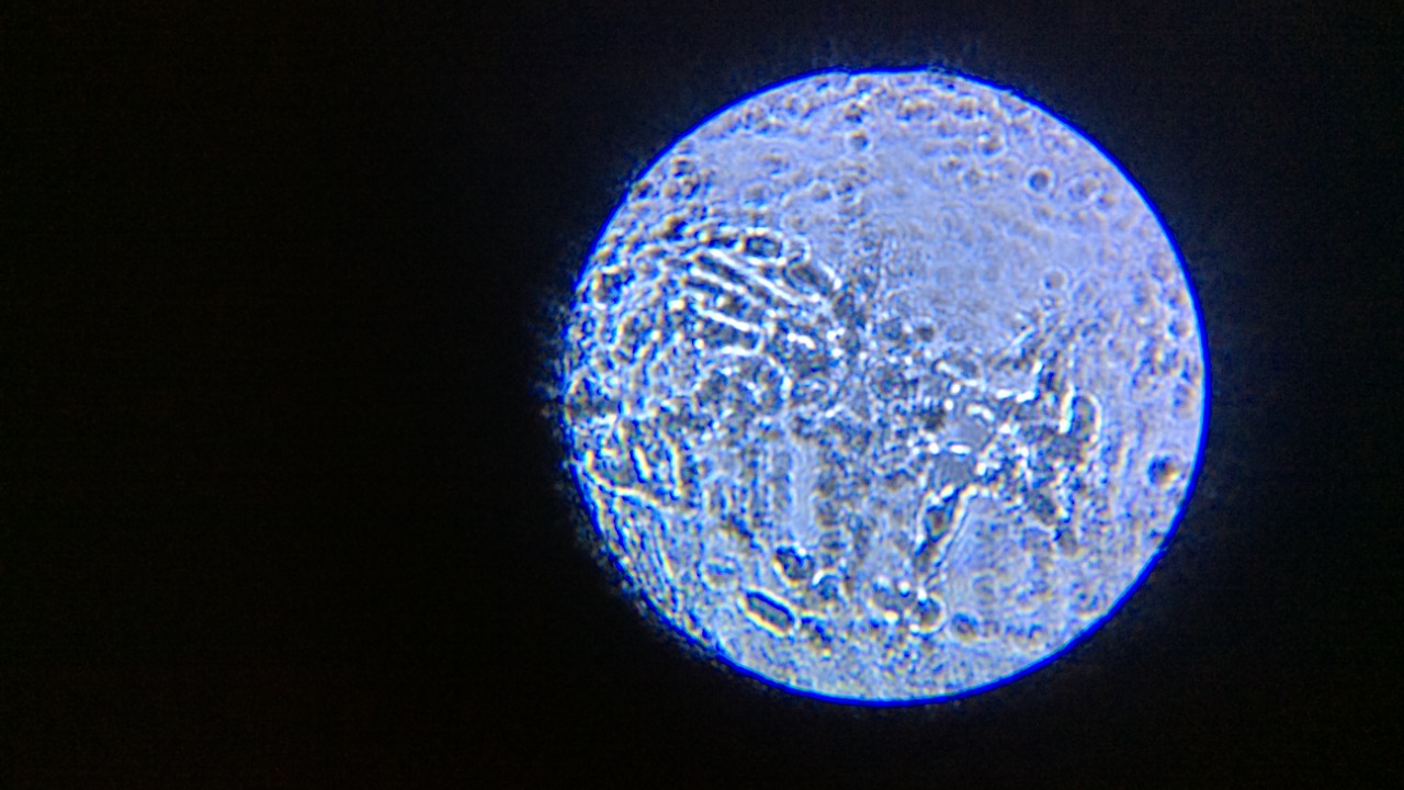 Image Credit: Selectortopic - CC0/Wiki Commons