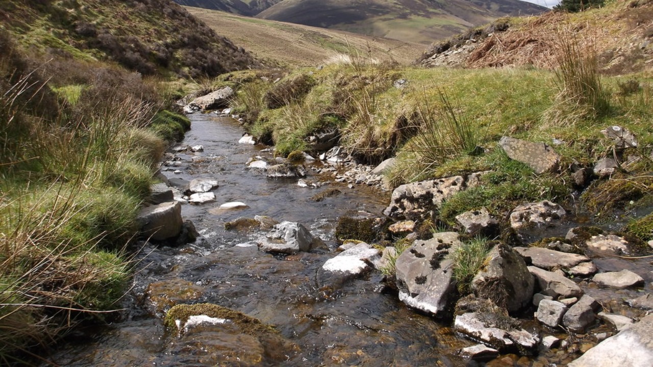 Image Credit: Iain Russell - CC BY-SA 2.0/Wiki Commons