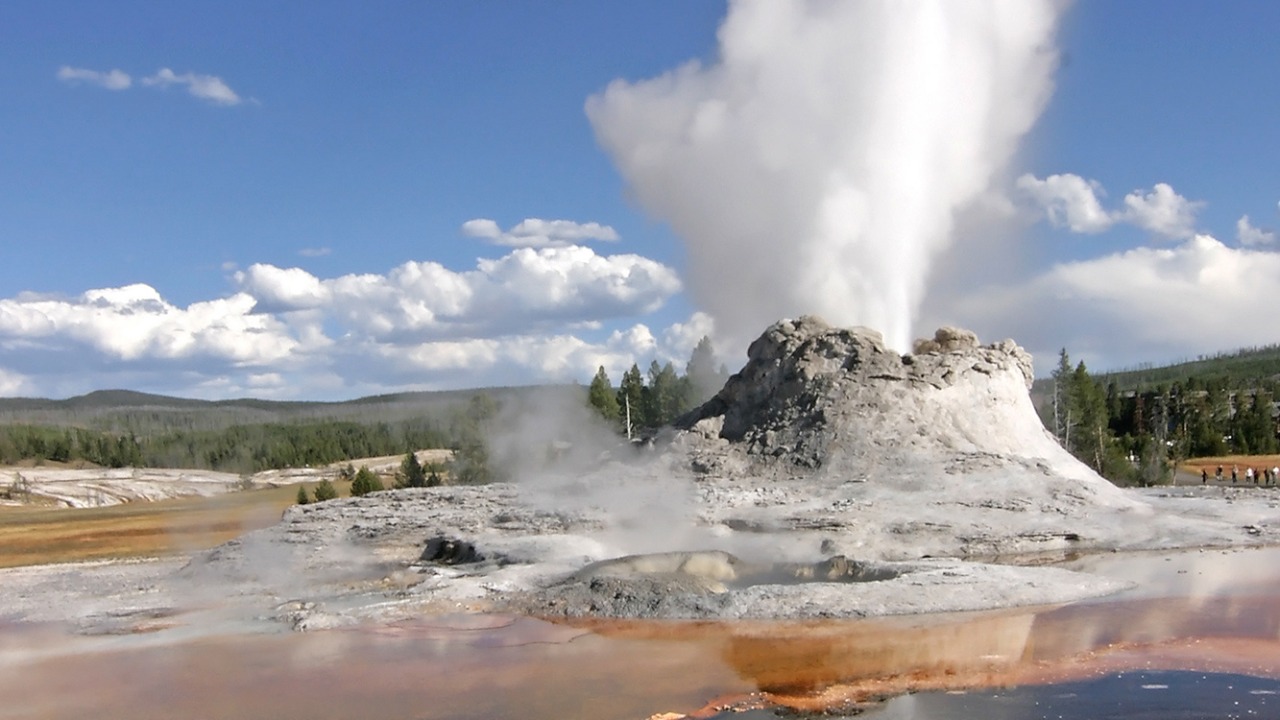 Image Credit: user: Flicka, Edited (Sharpening - Downsampled) by Arad Mojtahedi. - CC BY-SA 3.0/Wiki Commons