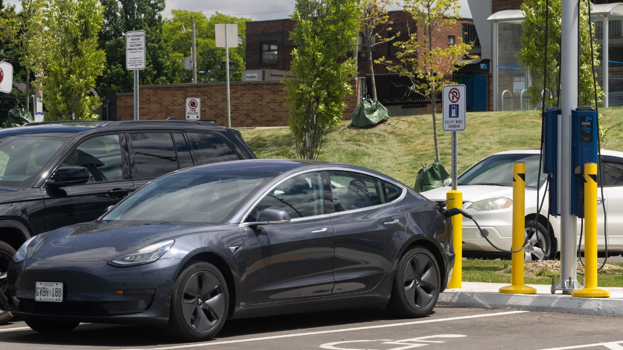 Image Credit: Crisco 1492 - CC BY-SA 4.0/Wiki Commons