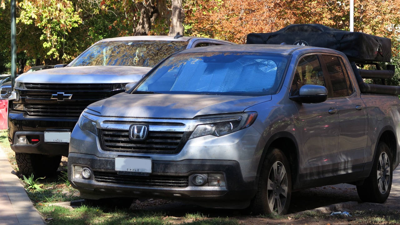 Image Credit: RL GNZLZ from Chile - CC BY-SA 2.0/Wiki Commons