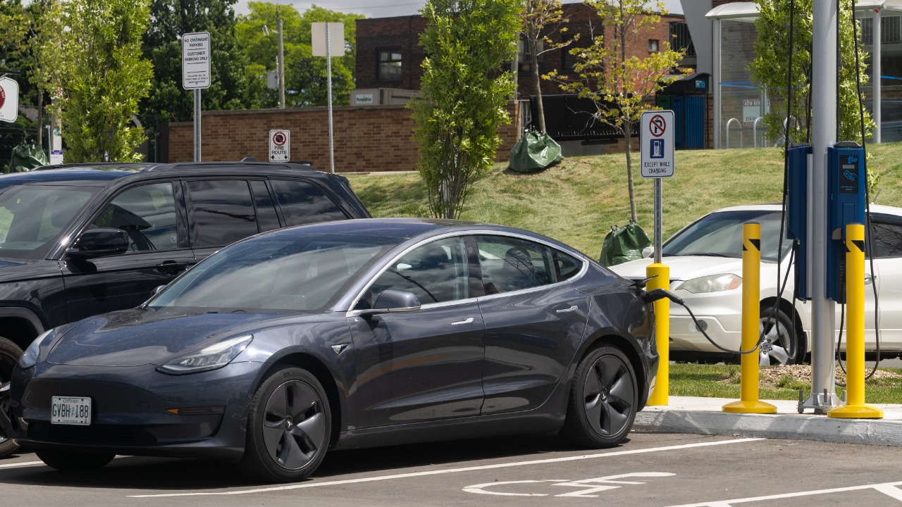 Image Credit: Crisco 1492 - CC BY-SA 4.0/Wiki Commons