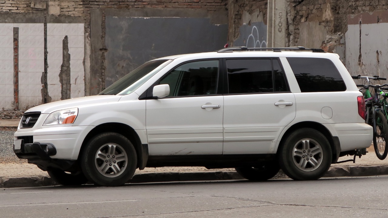 Image Credit: RL GNZLZ from Chile - CC BY-SA 2.0/Wiki Commons